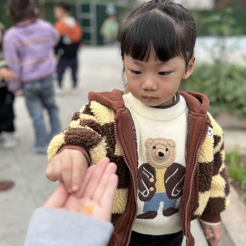 豆豆一班周小结