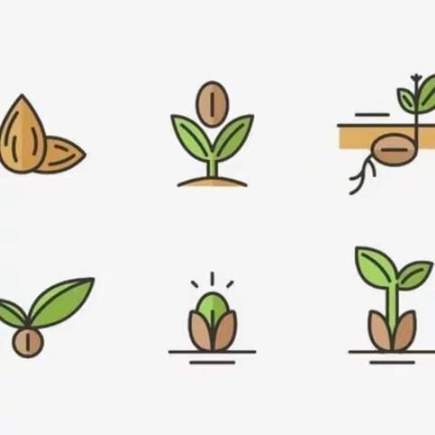 七色花幼儿园口才课小熊老师课后服务