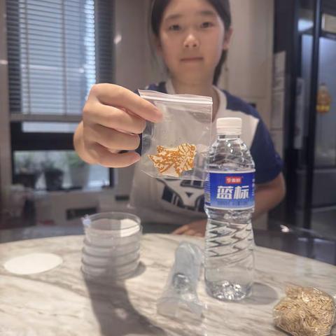 黏菌成长记