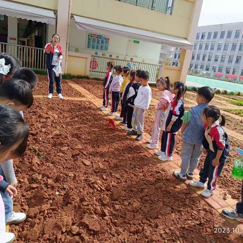 《让秋天的风吹进幼儿园的日常》大四班第七周精彩回顾