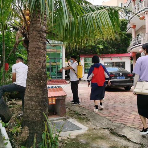 三亚市应急管理局下沉社区开展登革热防控工作（二）