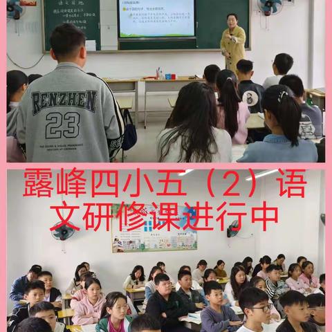 “教”无涯，“研”不尽——露峰第四小学教科研活动简报