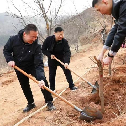 党建引领植初心 共添新绿树未来 县委办公室组织开展“3.12”植树节主题党日活动