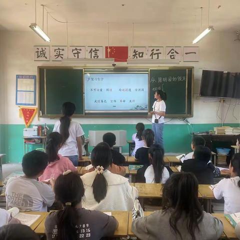 以研促教，砥砺成长——东寺庄中心小学语文教研