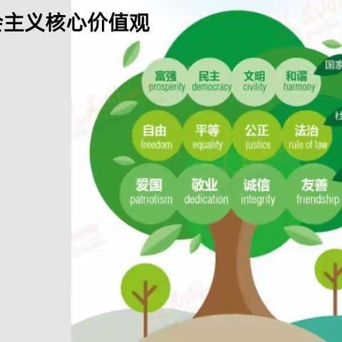 践行社会主义核心价值观，做新时代的好少年