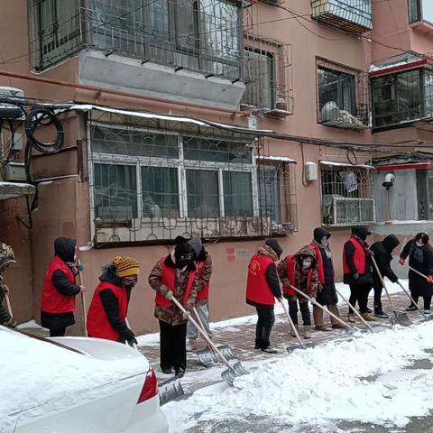 【新抚街道】新顺社区“除雪大会战”确保居民安全出行