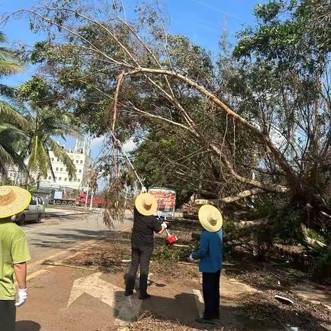 风雨无情、人有情——建行海口秀英支行兵分三路支援高新区各园区复工建设