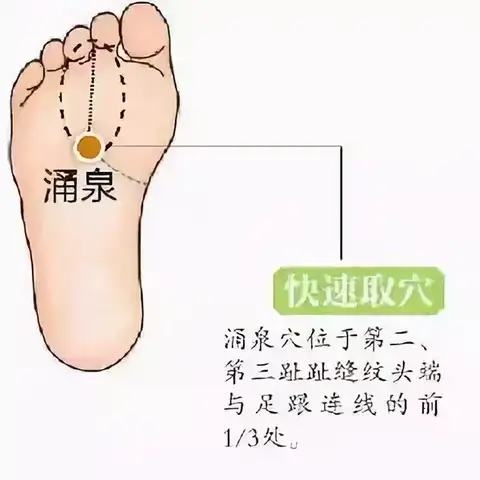 中药贴敷-生长发育贴