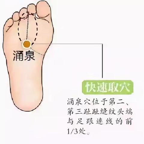 中药贴敷-生长发育贴