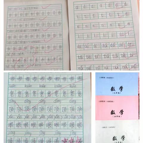 以检促减 以检促教 颍川教育集团皇帝庙校区中心小学作业教案评比活动 ￼