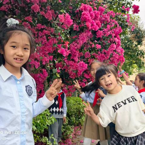 嫩芽有语，童心识春 ——京师实验学校二年级劳动教育《行走识植物》