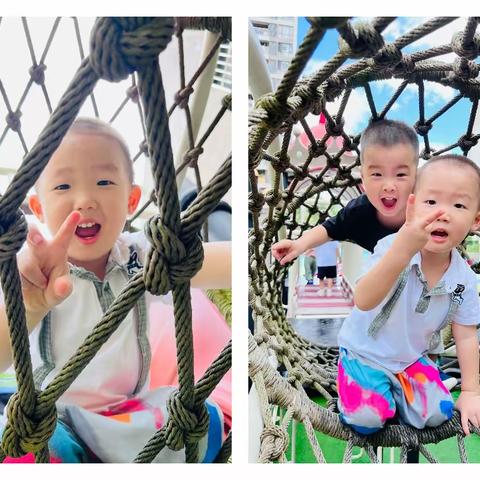 苗苗三班两周精彩回顾