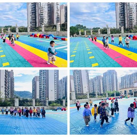 苗苗三班十六、十七周精彩回顾