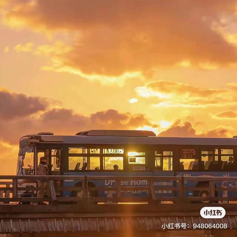 🌸皖投天下名筑2023年11月25日-2023年12月1日周报🌸