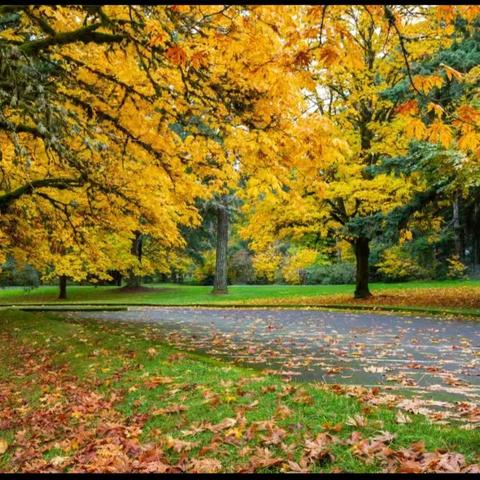 聚焦学科素养，打造“实美”课堂