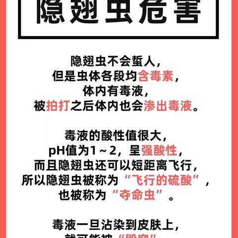 《隐翅虫来了，千万不要拍它》——蓝田新城保育院温馨提示