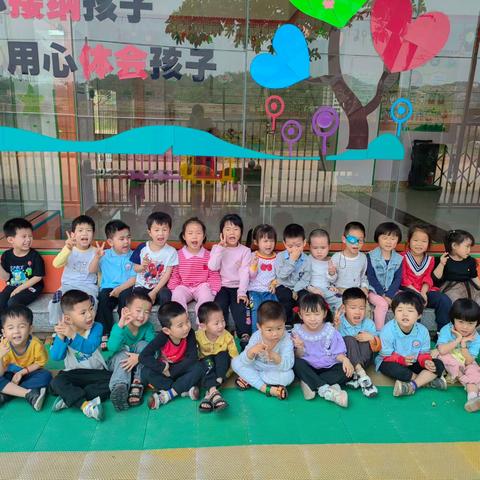 太阳花幼儿园小班第9周精彩回顾