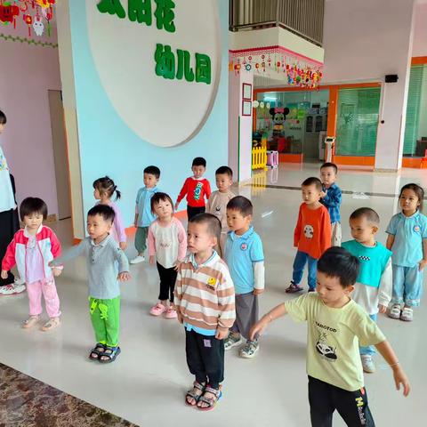 太阳花幼儿园小班第4周精彩回顾