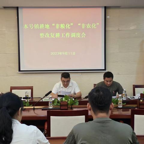 本号镇召开耕地“非农化”“非粮化”整改复耕工作调度会