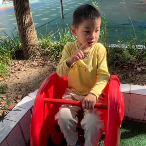 🍒双龙幼儿园大四班第8⃣️周🍒快乐时光