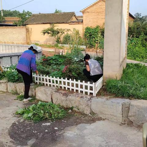 开展优化环境整治 打造宜居美丽乡村