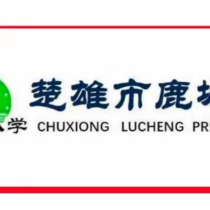 “阳光体育 快乐成长”----楚雄市鹿城小学文庙校区2023年冬季运动会