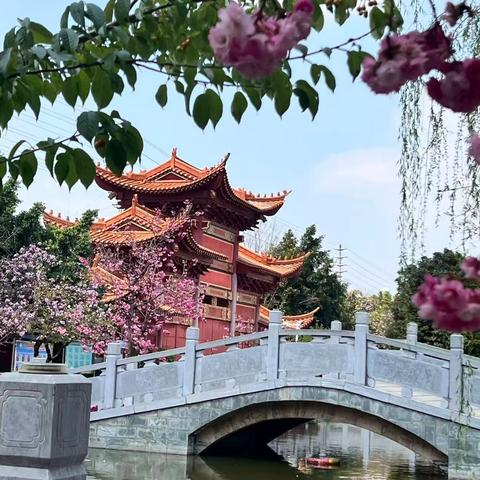 夯实常规明方向 精研计划启新程——鹿城小学教育集团2026年春季学期英语教研组第一次会议