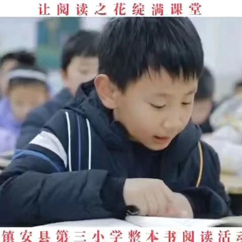 2025—我们这样走过 三（4）班年度成长纪事