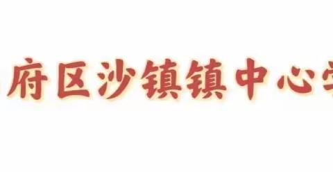 【东昌府区沙镇镇中心学校】开启新学期，筑梦向未来——东昌府区沙镇镇中心学校教学活动纪实