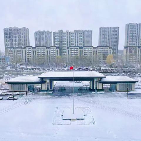 雪落成诗，尽揽芳华｜齐河一中生态城校区冬景特辑