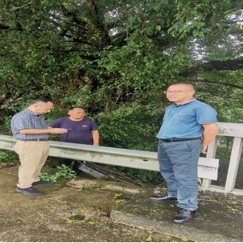 屯昌县副县长王杰到达南坤镇巡河调研