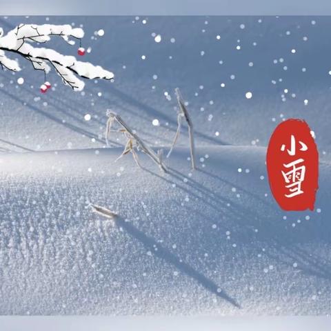 全环境立德树人  ｜台儿庄区实验幼儿园孟庄园－－《知节气  迎小雪》节气主题活动