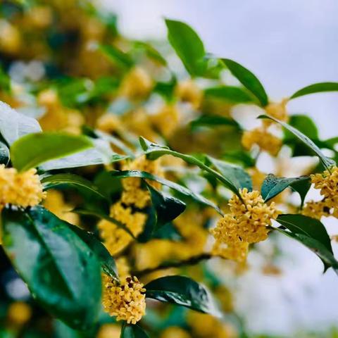 “博爱乐学 德才兼备”兰滩九年制学校第三周工作回眸