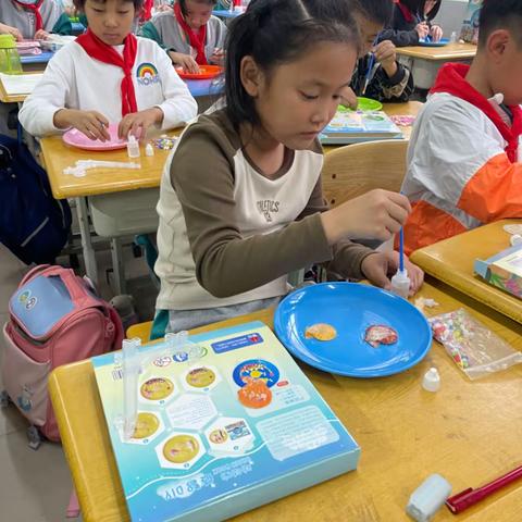 指尖灵动🐚妙不“壳”言——304班