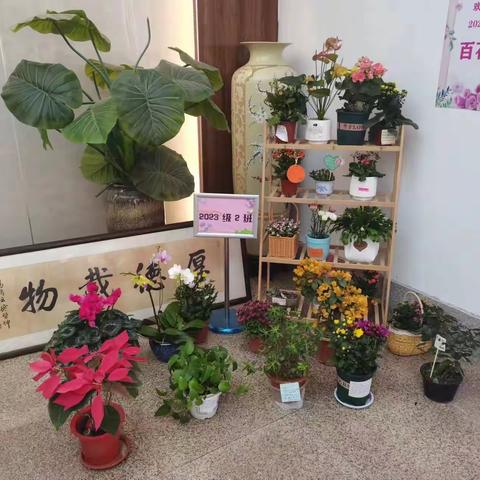 张店九中 六•（二）中队：热爱生活、美化校园