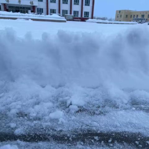 同心协力清积雪，家校携手暖人心——八十七团学校“最美”家长志愿者扫雪除冰暖校园行动