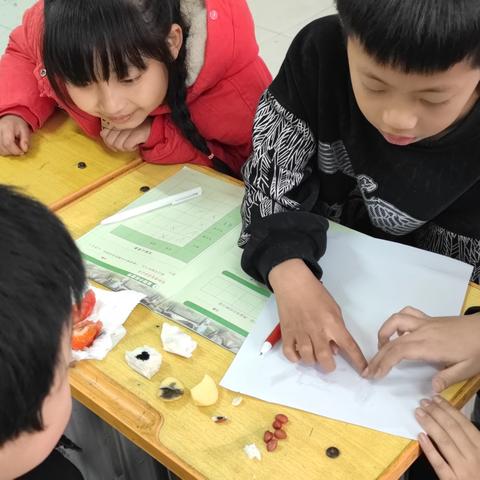 邱城小学 四年级科学实验: 食物中的营养成分