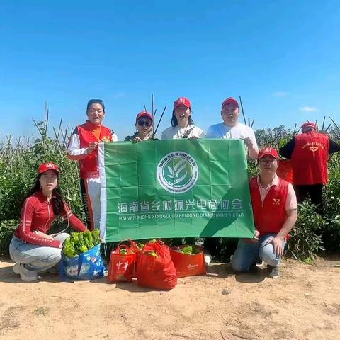 海南省乡村振兴电商协会开展"爱心助农·手拉手"辣椒采摘亲子游及认购活动