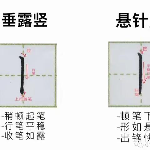 垂露竖的书写与练习