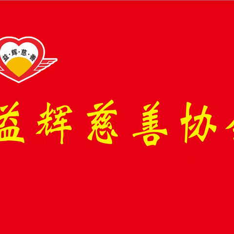 自治区民政厅调研 吴忠市利通区益辉慈善协会 工作简报