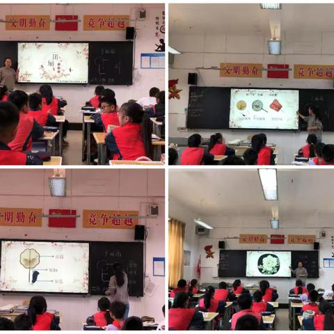 美术组教研活动 ——湘版美术五年级下册《团扇》公开课研讨