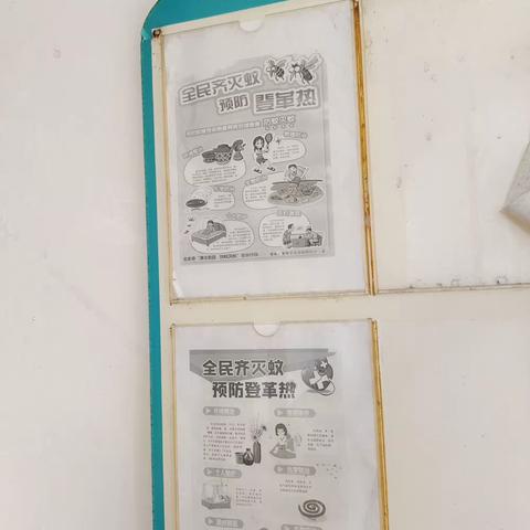 开展爱国卫生活动，预防登革热工作