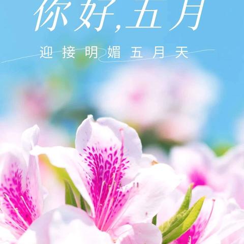 金盛物业服务中心工作简报
