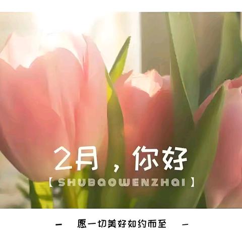 金盛花苑物业服务中心2月工作简报
