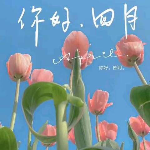 金盛花苑物业服务中心4月份工作简报
