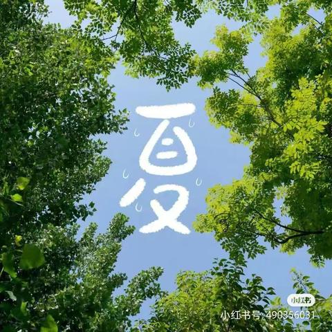 小一班六月主题《炎热的夏天》