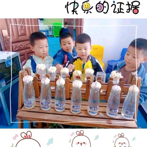 大“蒜”探秘 “幼”享童趣——米粮镇中心幼儿园大班课程故事