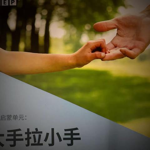 苗苗二班《大手拉小手》回顾信