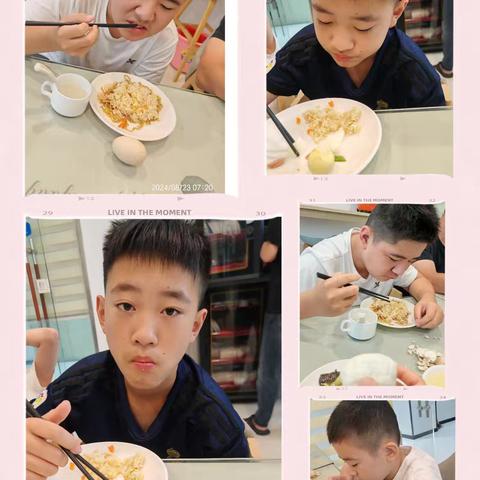 厦门行第三天（1）               ——植物园、曾厝垵