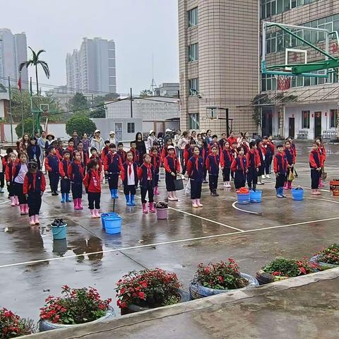 钦州市人和小学二校区党建带队建种植活动